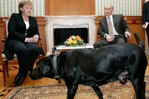 Putin Merkel