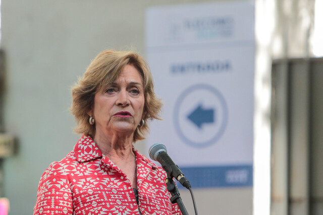 Matthei alianza electoral