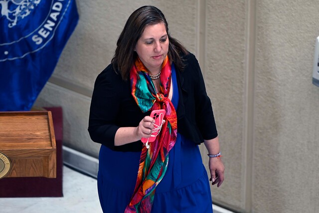 Vodanovic progresismo