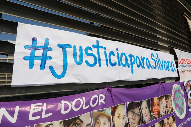 Día Nacional Femicidio