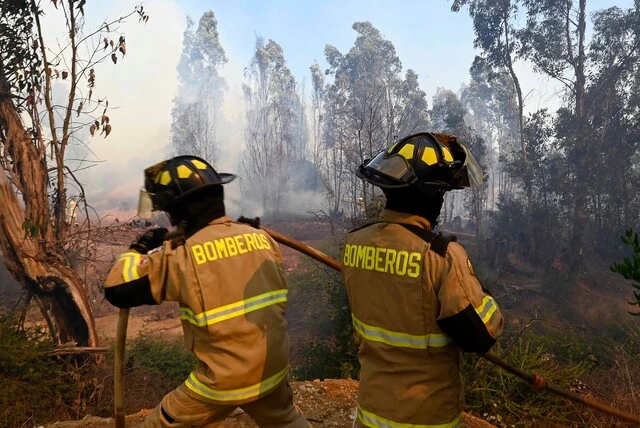 Catemu incendio forestal