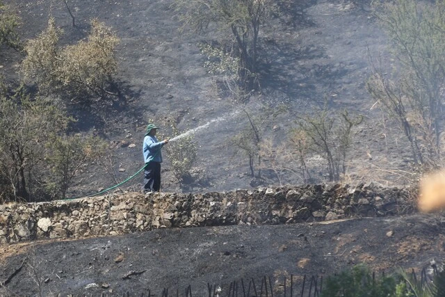 incendios