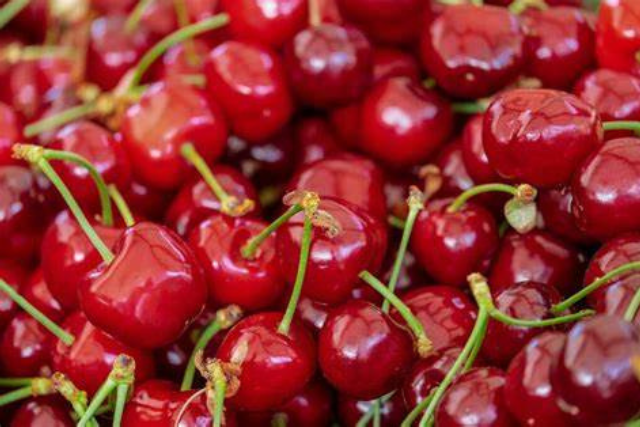 cereza chilena china