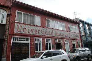 docentes
