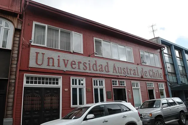 docentes