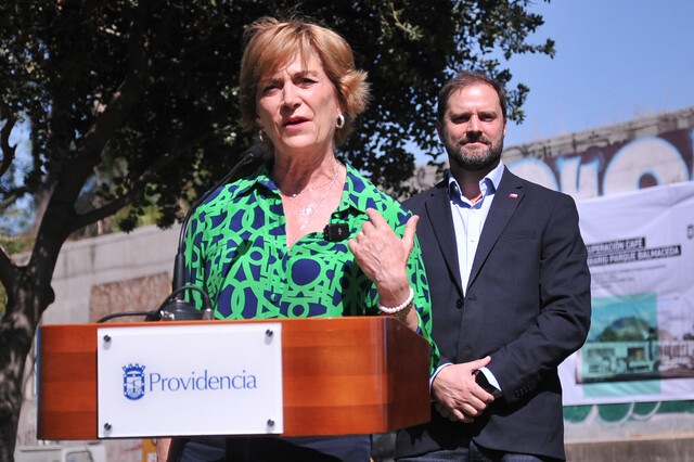 Matthei fiscal Guerra