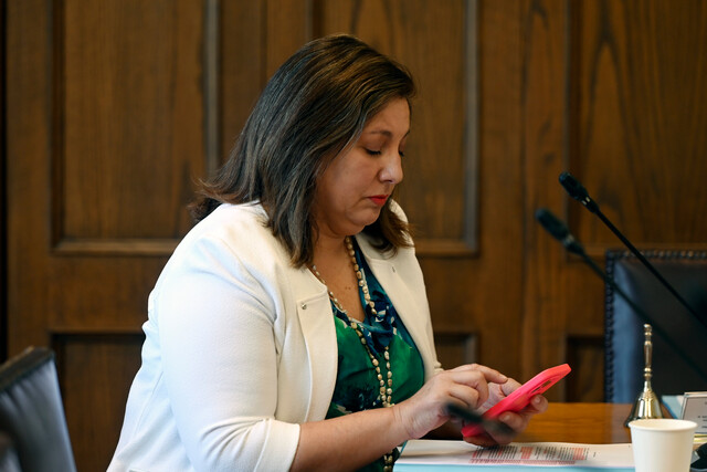 Vodanovic Ley antiterrorista