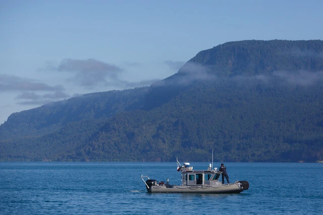búsqueda lago Villarrica