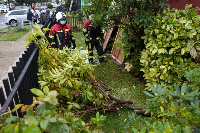 Municipalidad transeúnte