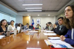 Domingo comité ministros