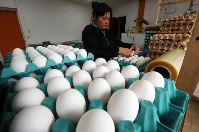 huevos