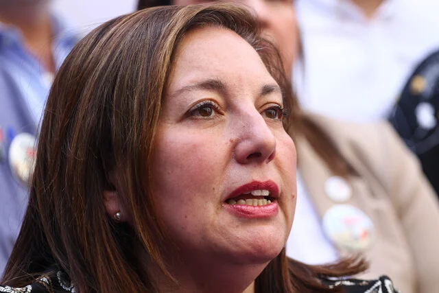 Paulina Vodanovic candidata