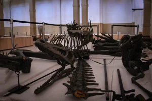 fósil origen dinosaurios