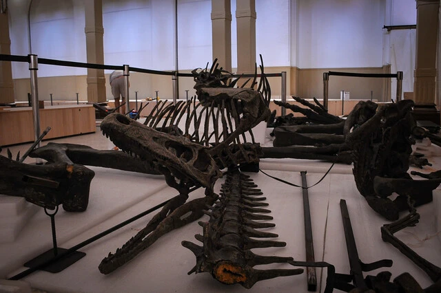 fósil origen dinosaurios