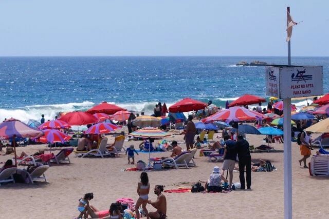 Viña