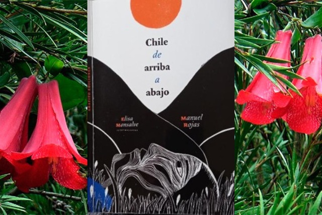 Chile de arriba a abajo