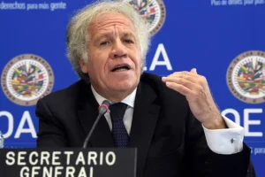 OEA argentino