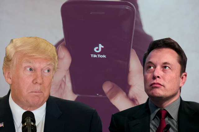 Trump Musk Tiktok