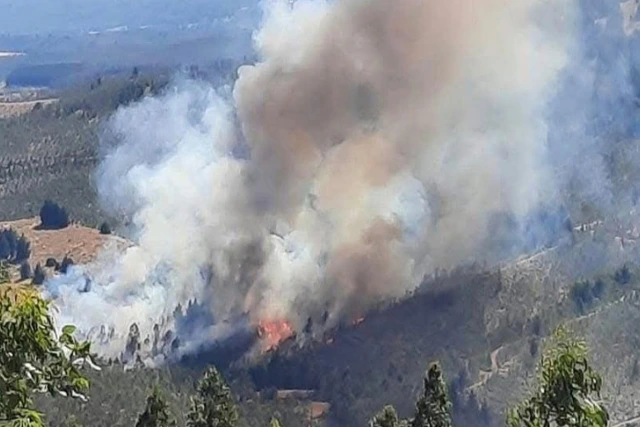 incendio los sauces