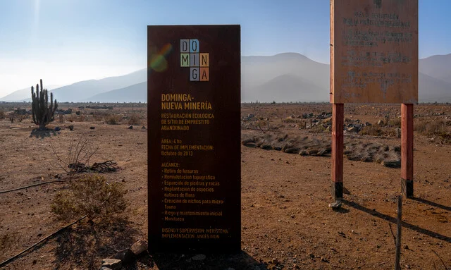 Gobierno Dominga