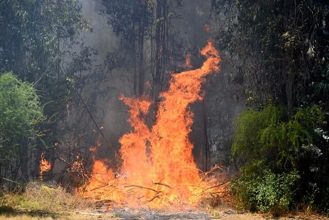 incendios forestales O’Higgins