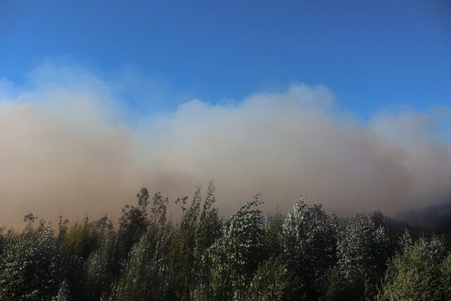 incendios forestales
