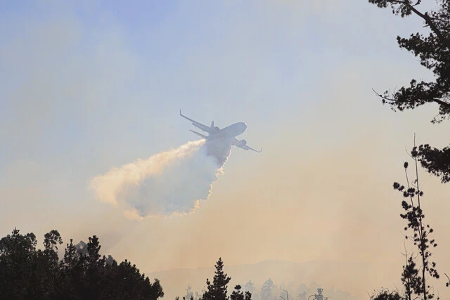 Senapred nuevo balance