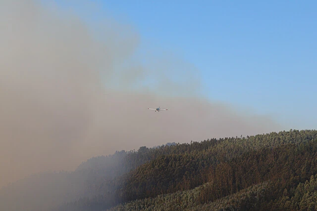 incendio territorio chileno