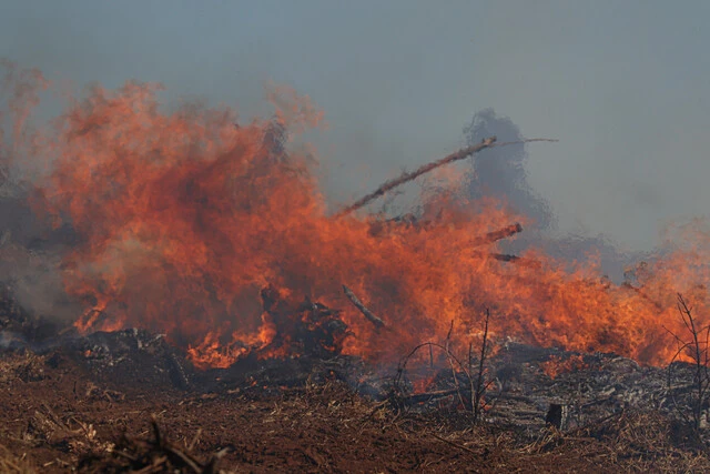 incendios La Araucanía