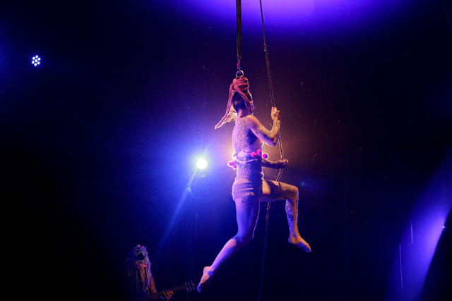 El Principito circo