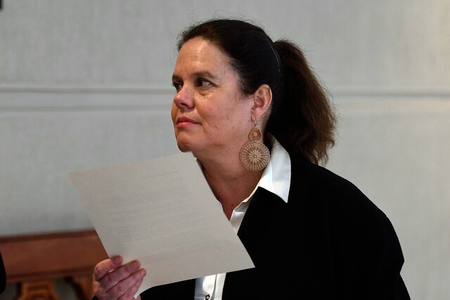 TC recurso Fernández