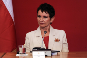 tohá proceso constitucional