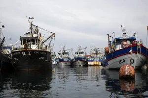 Armada pescadores