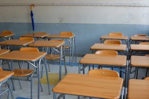 titularidad profesores