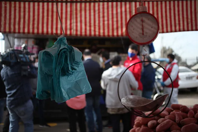 bolsas plásticas biodegradables