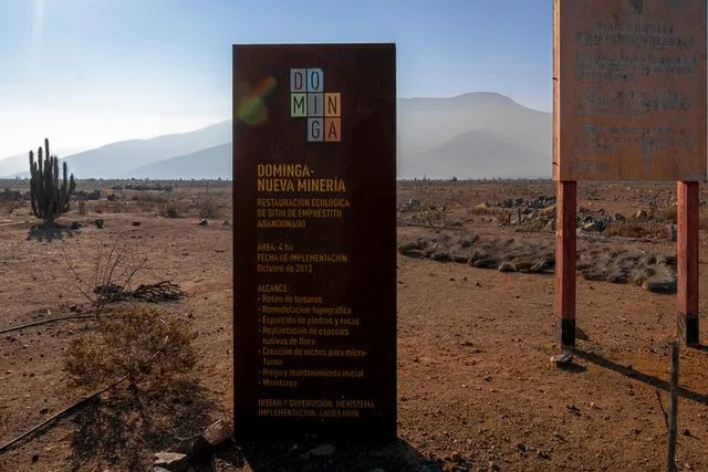 Dominga