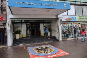 licencias Concepción