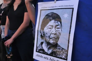 Chuñil