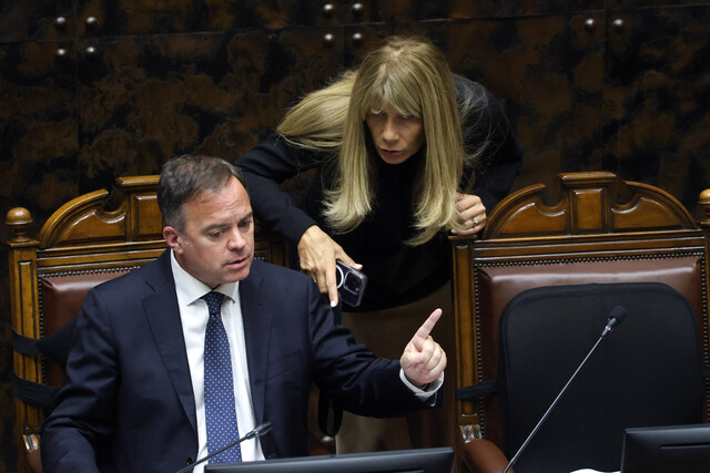 Demócratas primarias