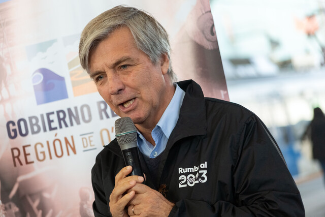 Mayne Nicholls candidatura