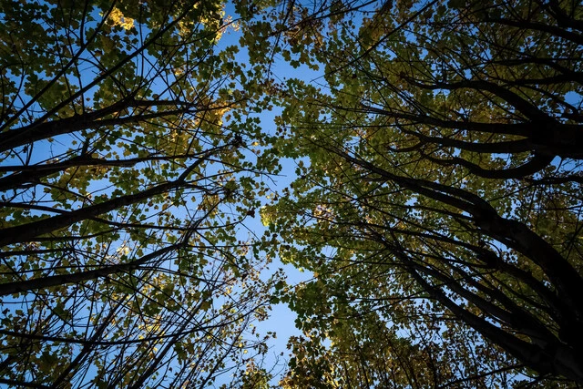 Tierra