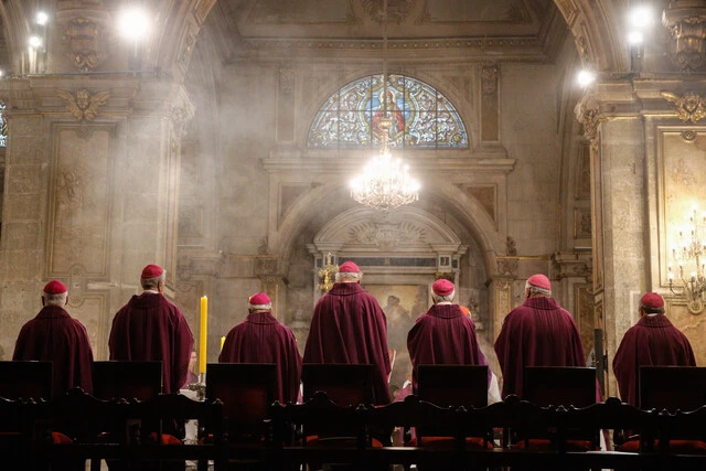 visualizaciones Papa