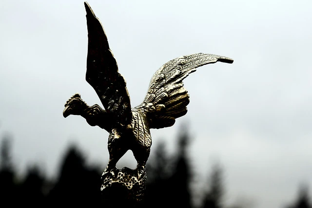 nacimiento de cóndor