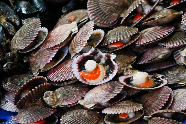 pescados mariscos