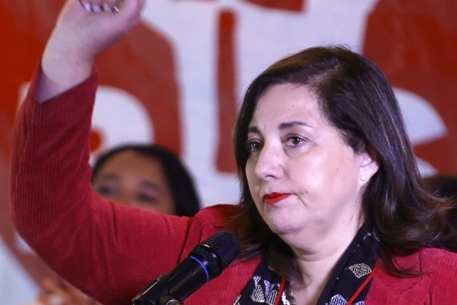 Paulina Vodanovic se une a la carrera presidencial