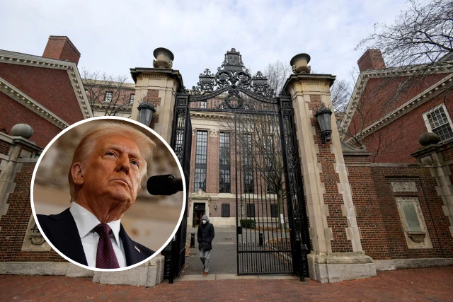 Trump Harvard