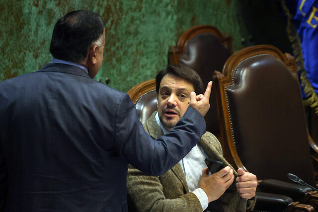 vicepresidentes Cámara