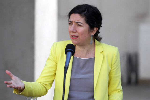 Gobierno Matthei litio