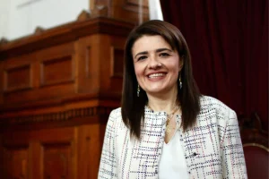 formalización Sabaj Hermosilla
