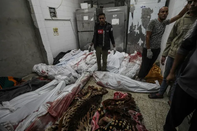 Gaza